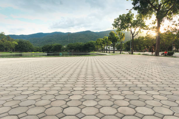 Best Concrete Paver Driveway  in Dunn, NC